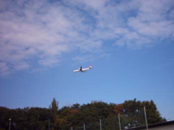 IMG_0055