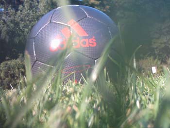 IMG_0090