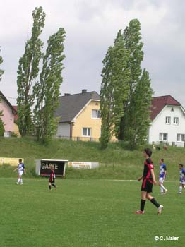 DSCN0439