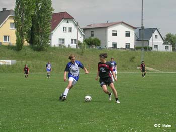 DSCN0444