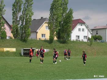 DSCN0446